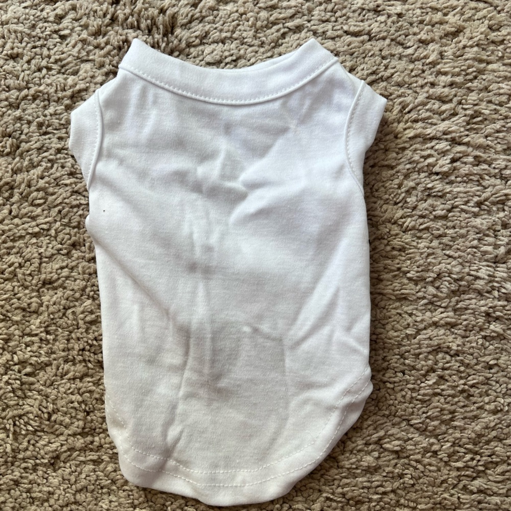 White shirt—toy breed/chihuahua